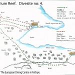 Aquarium Reef divesite 5 Aquarium Reef divesite 5
