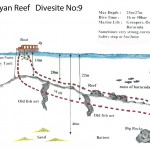Dalyan Reef divesite 9 Dalyan Reef divesite 9