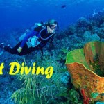 Start Diving