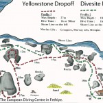 Yellowstone drop off divesite 5 Yellowstone drop off divesite 5